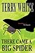 There Came a Big Spider by Terry  White