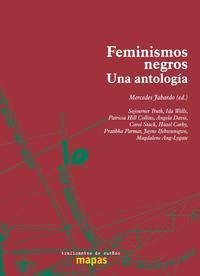 Feminismos negros. Una antología (Paperback)