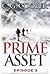 Prime Asset: Episode 3 (Corps Justice, #3.3)