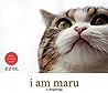 I Am Maru by Mugumogu