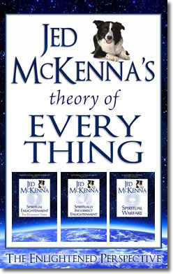 Jed McKenna's Theory of Everything (Unknown Binding)
