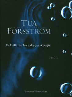 En kväll i oktober rodde jag ut på sjön (Hardcover)