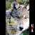 Wild Justice: The Moral Lives of Animals