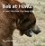 Bob at Home a Short Tale from "Summer Camp of the Dead" by Josh Hilden