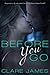 Before You Go (Impossible Love, #1)