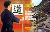 Jodo la voie du baton / the way of the stick by Pascal Krieger