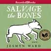 Salvage the Bones