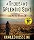 A Thousand Splendid Suns by Khaled Hosseini