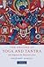 The Origins of Yoga and Tantra by Geoffrey Samuel