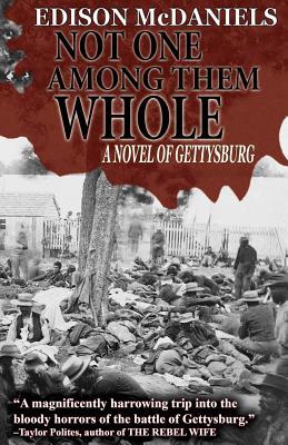 Not One Among Them Whole: A Novel of Gettysburg