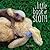 A Little Book of Sloth by Lucy Cooke