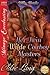 Her Twin Wilde Cowboy Masters by Chloe Lang