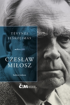 Tėvynės ieškojimas (Paperback)
