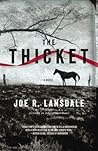 Book cover for The Thicket
