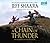 A Chain of Thunder (Civil War: 1861-1865, Western Theater, #2)