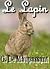 Le lapin