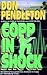 Copp in Shock (Joe Copp, #6)