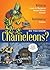 Do You Know Chameleons? (Do You Know #18)