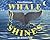 Whale Shines An Artistic Tale by Fiona Robinson