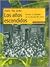 Los años escondidos: sueños y rebeldías en la década del veinte