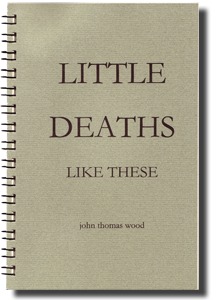 Capa do Livro Little Deaths Like These