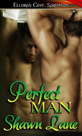 Perfect Man (Kindle Edition)