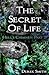 The Secret of Life (Hell's Chimney, #2)