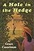 A Hole in the Hedge