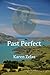 Past Perfect