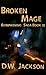 Broken Mage  (Reawakening S...