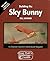 Building the Sky Bunny by Bill Warner