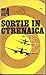 Sortie In Cyrenaica (War in the Air 4)