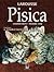 Pisica