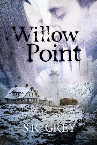 Willow Point (A Harbour Falls Mystery, #2)