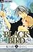 Black Bird 18
