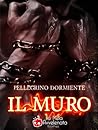 Il Muro