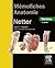 Mémofiches Anatomie Netter - Membres by John T. Hansen