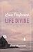 Love Perfected, Life Divine: A Novel