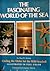 The fascinating world of the sea: Circling the globe for the wild seashell