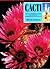 Cacti: An Illustrated Guide to Over 150 Representative Species