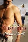 Stormchild by Vivian Arend