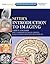 Netter's Introduction to Imaging E-Book