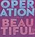 Operation Beautiful: One Note at a Time