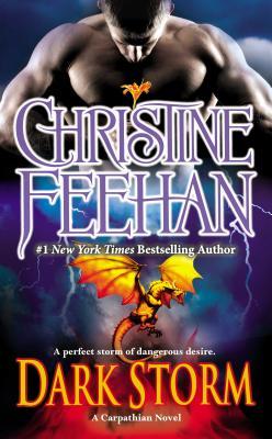 Dark Storm (Carpathian #24)