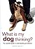What Is My Dog Thinking? by Gwen Bailey