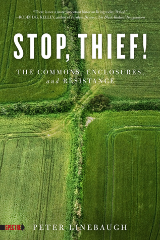 Stop, Thief!: The Commons, Enclosures, And Resistance (Spectre)