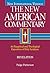 Revelation: An Exegetical and Theological Exposition of Holy Scripture (Volume 39) (The New American Commentary)