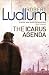 The Icarus Agenda