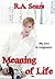 Meaning of Life (Mathis Gre...