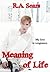 Meaning of Life (Mathis Greene #0.5)